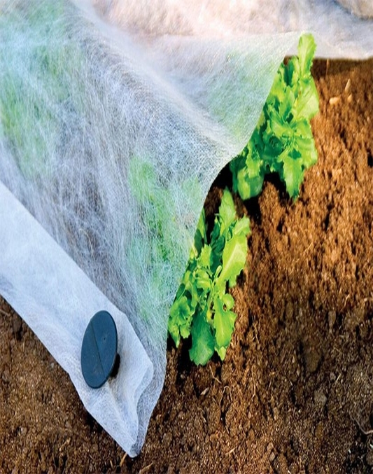 Agril folija se koristi za zaštitu biljaka od niskih temperatura na otvorenom polju i u plastenicima. Ima svojstvo da propušta vlagu, te je moguće zalivanje na površinama pod agril folijom. Folija omogućava dobru cirkulaciju vazduha i odličnu propustljivost svetlosti. Zbog svoje izdržljive strukture agril folija se može koristiti po nekoliko godina. Koristi se kako u zaštićenom prostoru tako i na otvorenom polju za direktno prekrivanje useva: salate, krompira, praziluka, spanaća, jagoda, u proizvodnji lubenice, dinje, krastavca, paprike i u rasadničkoj proizvodnji.