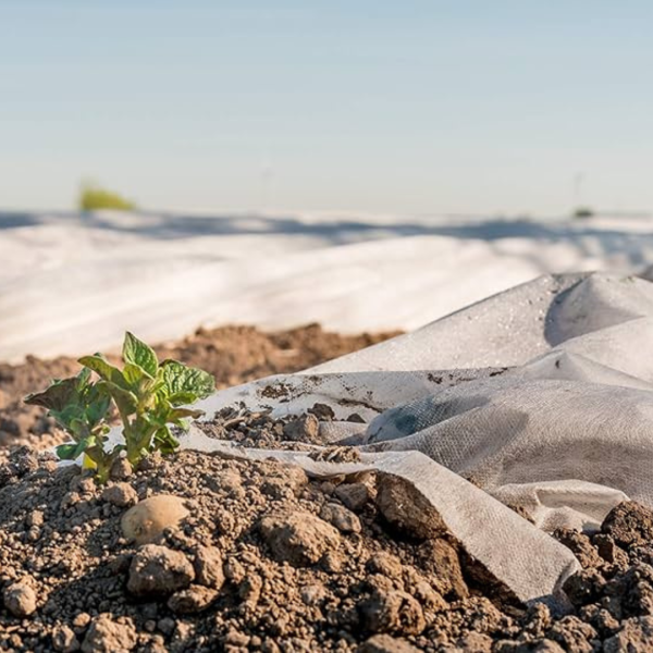 Agril folija 4.2m/20m 19g/m2 je netkani agrotekstil tj.agril folija za pokrivanje biljaka. Prilikom proizvodnje Plant-protek agril folije vođeno je računa o svim parametrima. Koji su važni kako u profesionalnoj poljoprivredi i hortikulturi, tako i u hobi primeni. Plant-protek je dugi niz godina najcenjeniji brend profesionalnog agrotekstila u Nemačkoj i Finskoj. Nekoliko godina dostupan je i u Poljskoj i u Srbiji samim tim i u Unijaplast-u. Izborom Plant-Protek agrotekstila, birate najjači netkani materijal dostupan na evropskom tržištu.