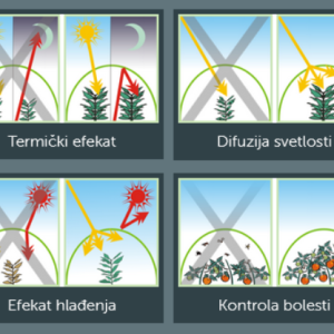 Kritis folije za plastenike UV + AD