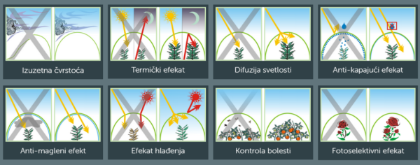 Kritis folija za plastenike UV+AD 10m 150mic pruža dug vek trajanja, zaštitu biljaka, bolji prinos i efikasnost. Idealna za modernu i održivu poljoprivredu.