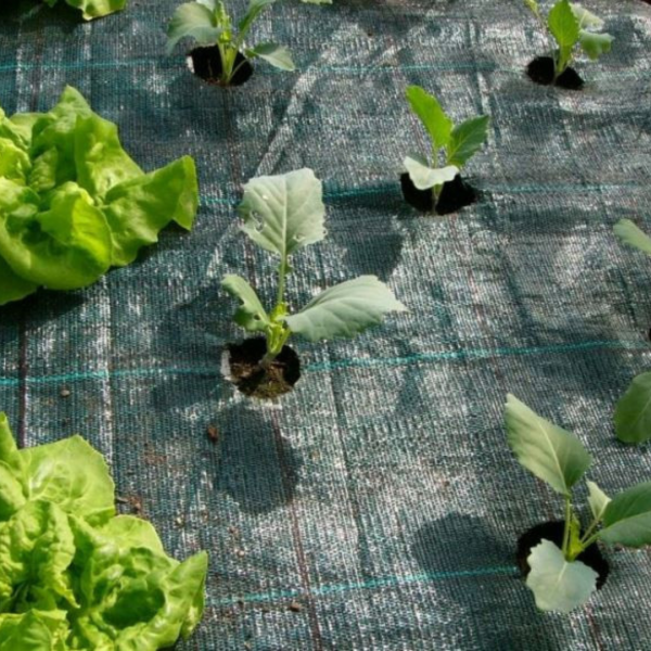 Agrotekstil (prostirka crna) 2.1m/50m 100g/m2 – zaštita biljaka, plastenici i suzbijanje korova